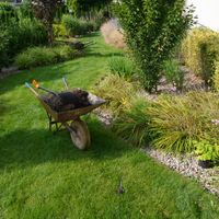 Zdjęcie z galerii 1