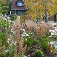 Zdjęcie z galerii 10