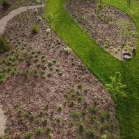 Zdjęcie z galerii 11