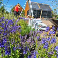 Zdjęcie z galerii 12