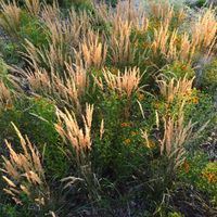 Zdjęcie z galerii 14