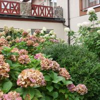 Zdjęcie z galerii 15