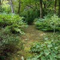 Zdjęcie z galerii 16