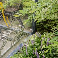 Zdjęcie z galerii 17