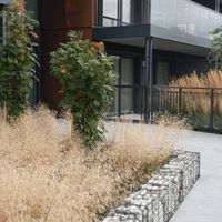 Zdjęcie z galerii 18