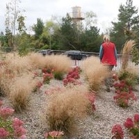 Zdjęcie z galerii 19