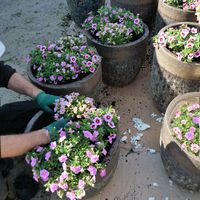 Zdjęcie z galerii 2