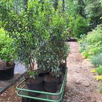 Zdjęcie z galerii 20