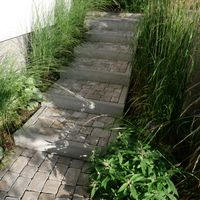 Zdjęcie z galerii 3