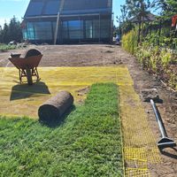 Zdjęcie z galerii 4