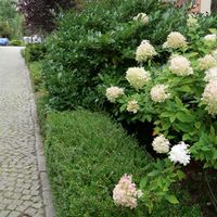 Zdjęcie z galerii 5