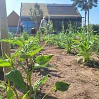 Zdjęcie z galerii 6