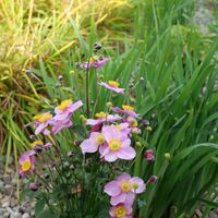 Zdjęcie z galerii 7