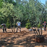 Zdjęcie z galerii 8