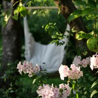 Zdjęcie z galerii 9