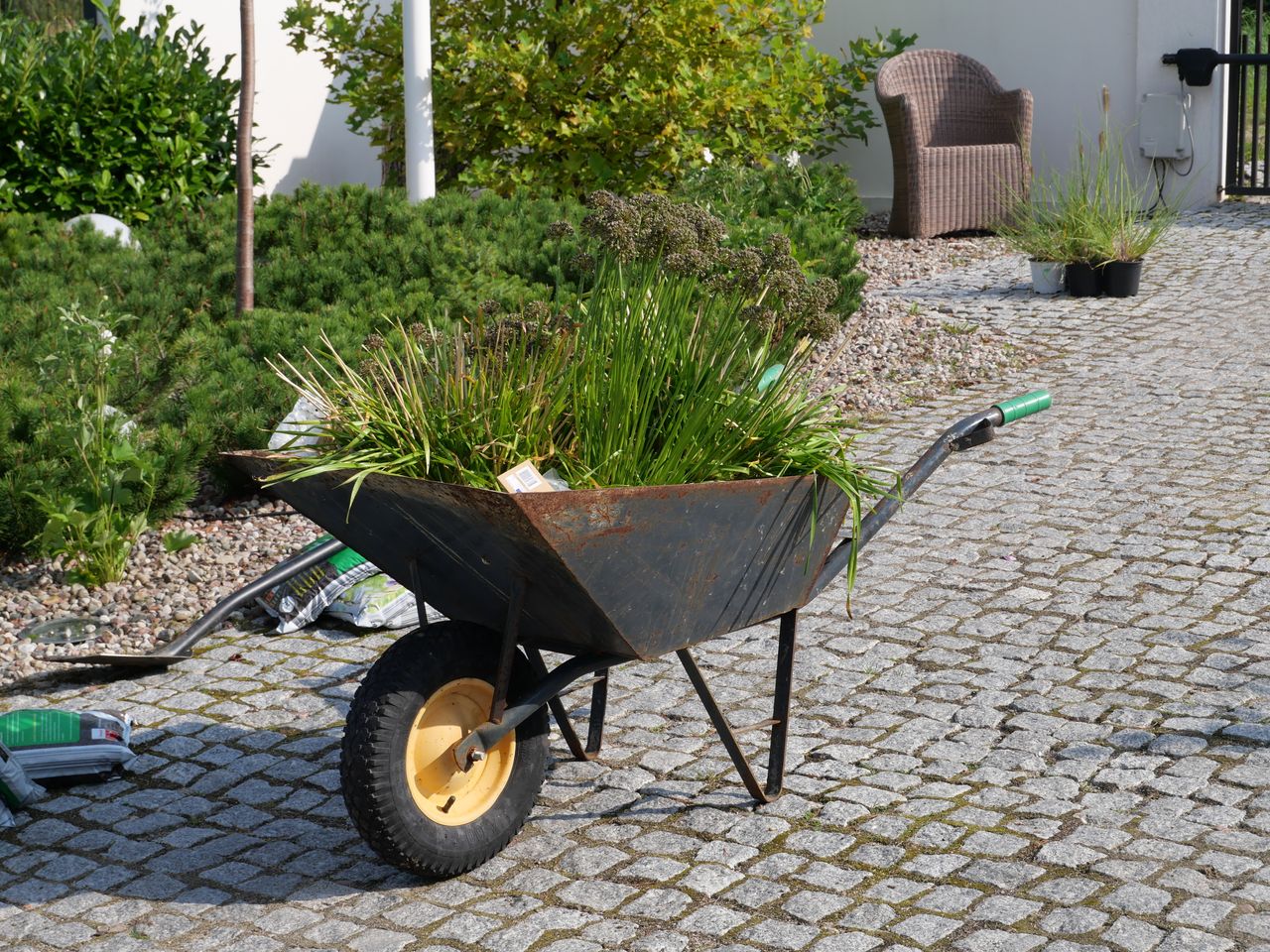 Taczka z sadzonkami roślin. Kadr z uzupełniania rabat.