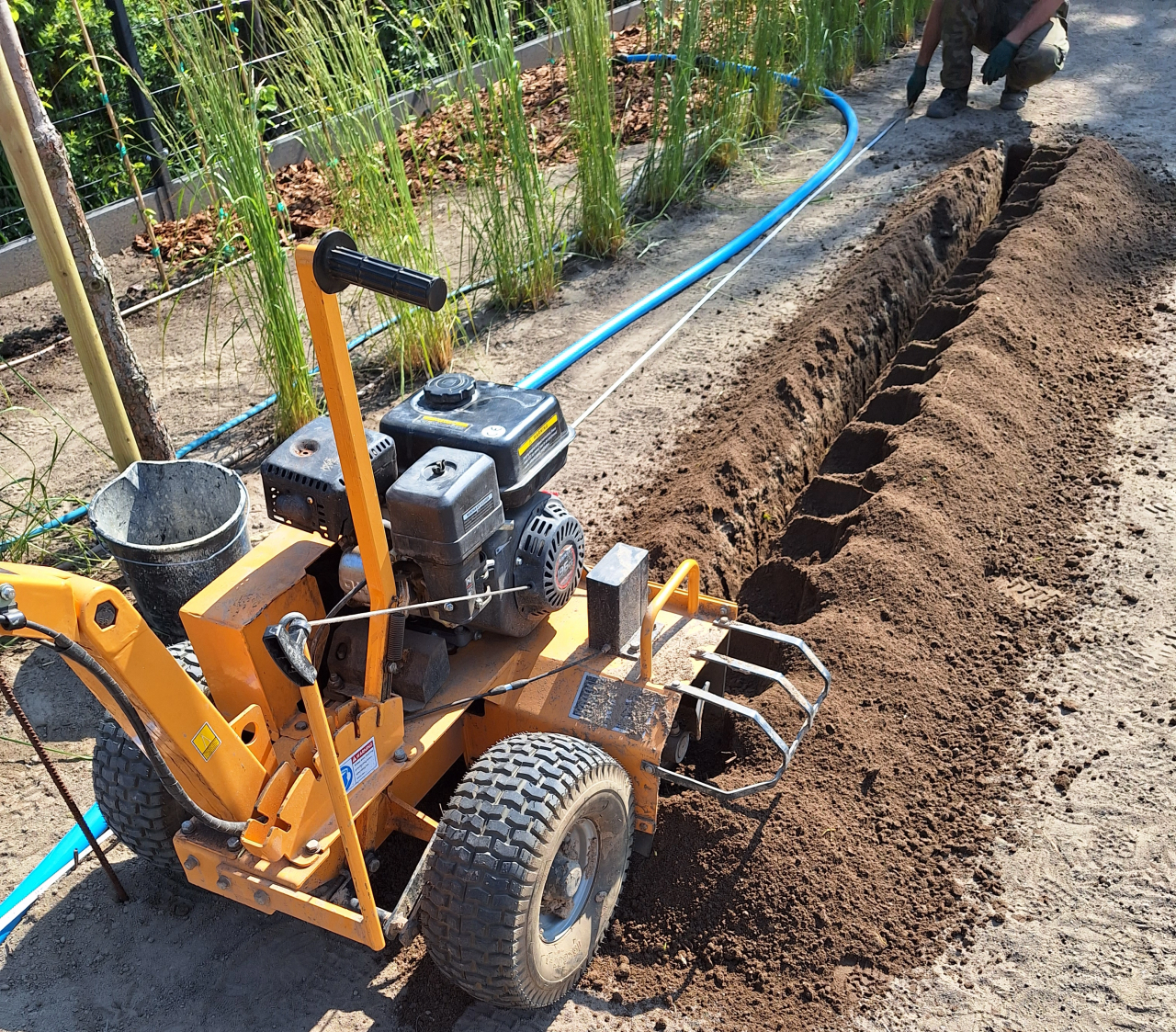 Koparka łańcuchowa w trakcie robienia wykopu pod rurę doprowadzającą wodę do zraszacza trawnika.
