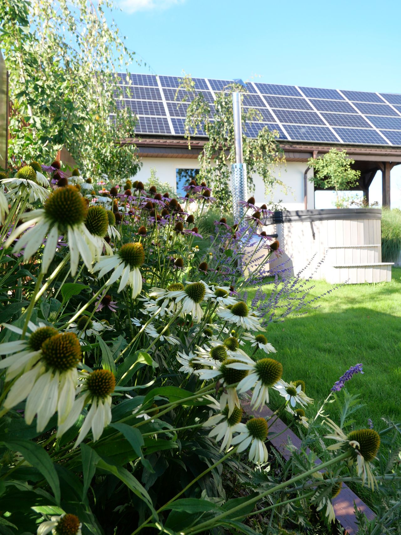 Rabata z białymi i fioletowymi jeżówkami